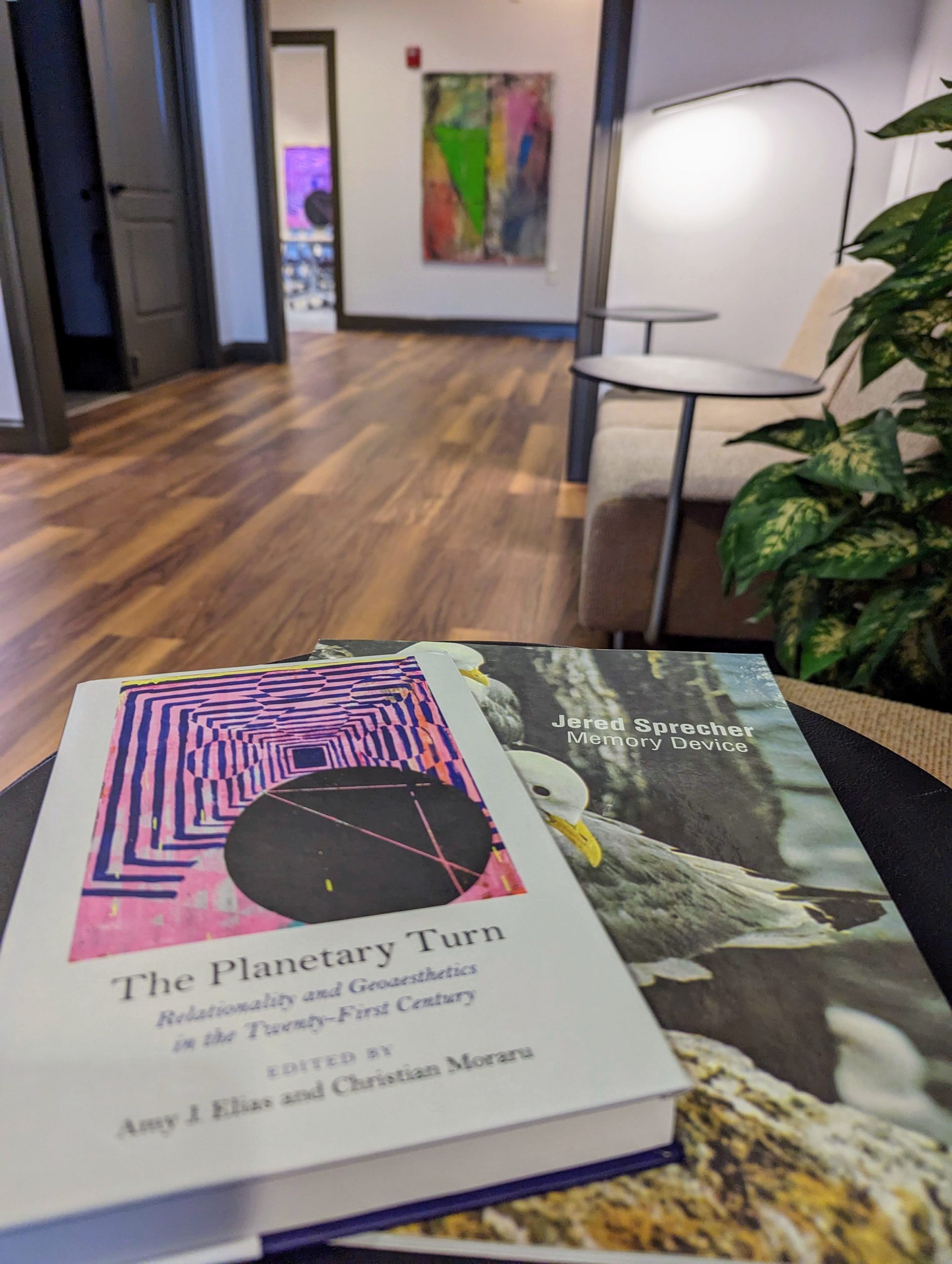 A photo shows two books, one with a painting on the cover and one with seagulls on the cover, sitting on a small table next to a chair and sofa that are in an office hallway. At the end of the hallway a large abstract painting is hanging, and visible just beyond it through a door is the painting that is the cover of the first book.